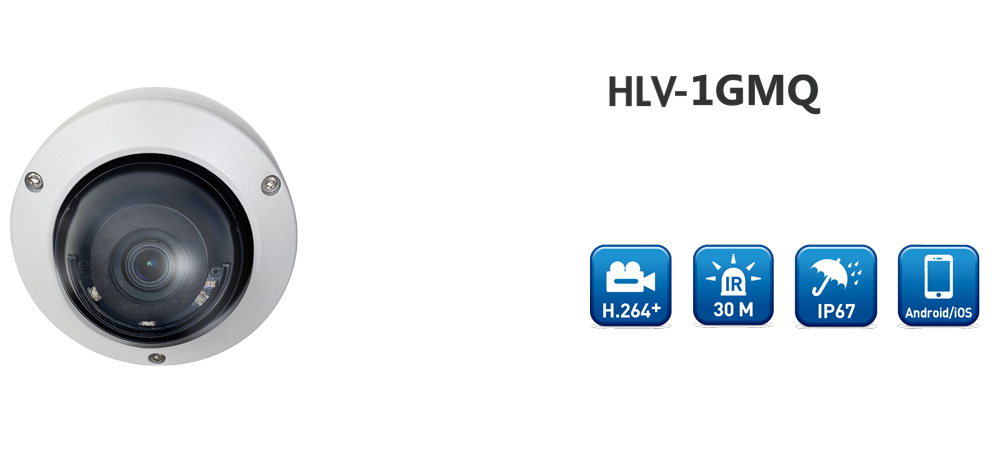 HLV-1GMQ 1